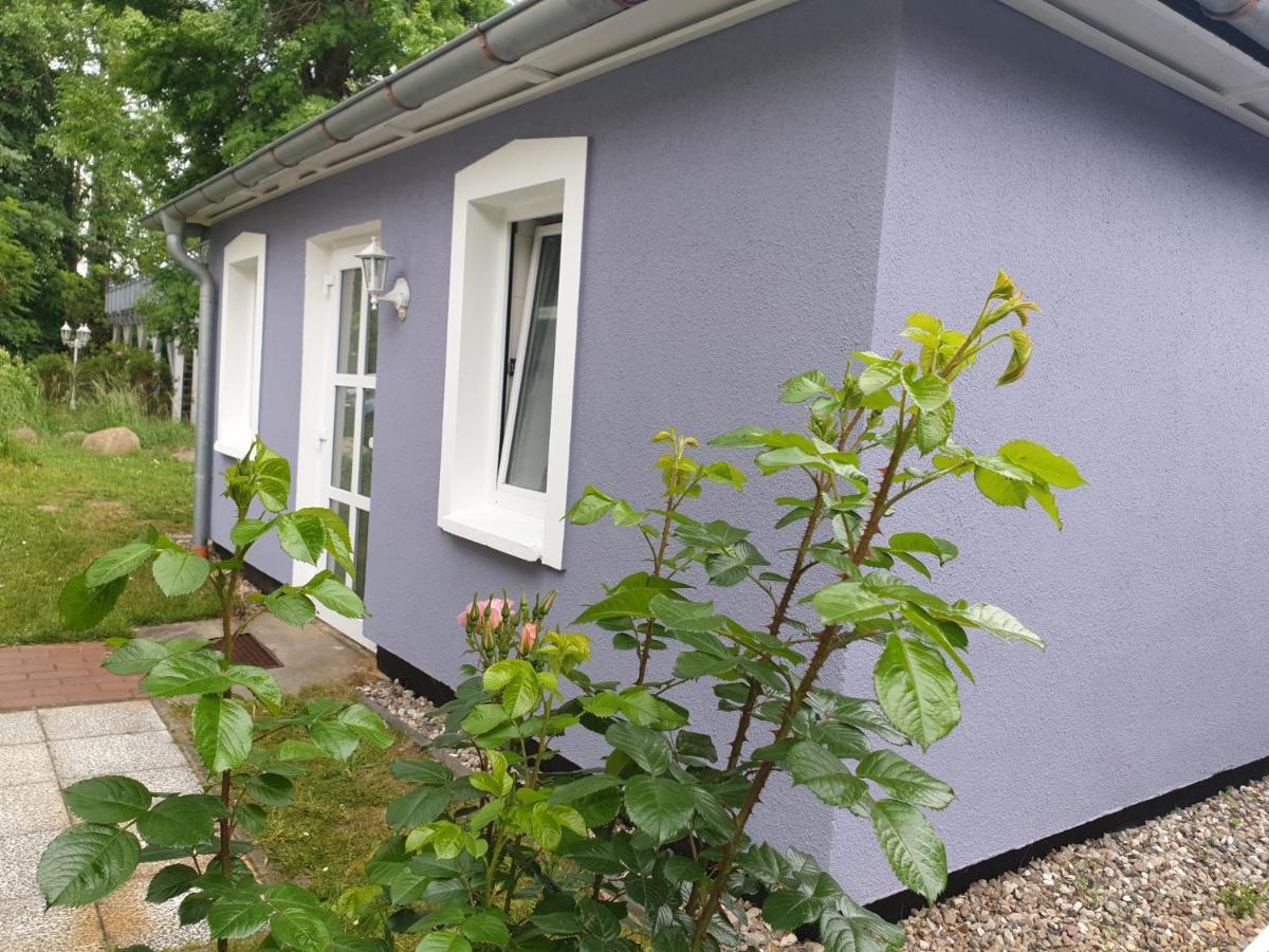 Ferienwohnungen Am Rosenhof Ostseebad Kühlungsborn Exterior foto